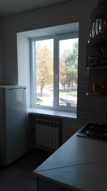 Apartment On Kryvorizhstal Street 35-24 Kryvyj Rih Exteriör bild