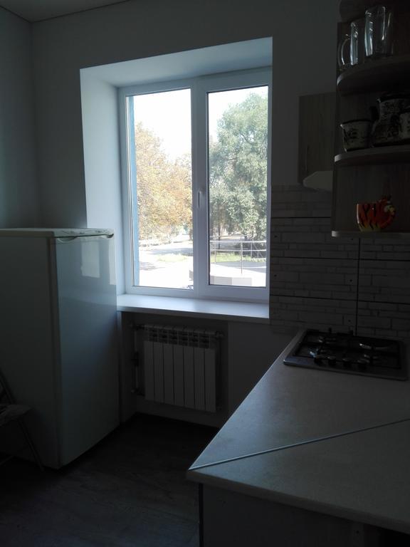 Apartment On Kryvorizhstal Street 35-24 Kryvyj Rih Exteriör bild